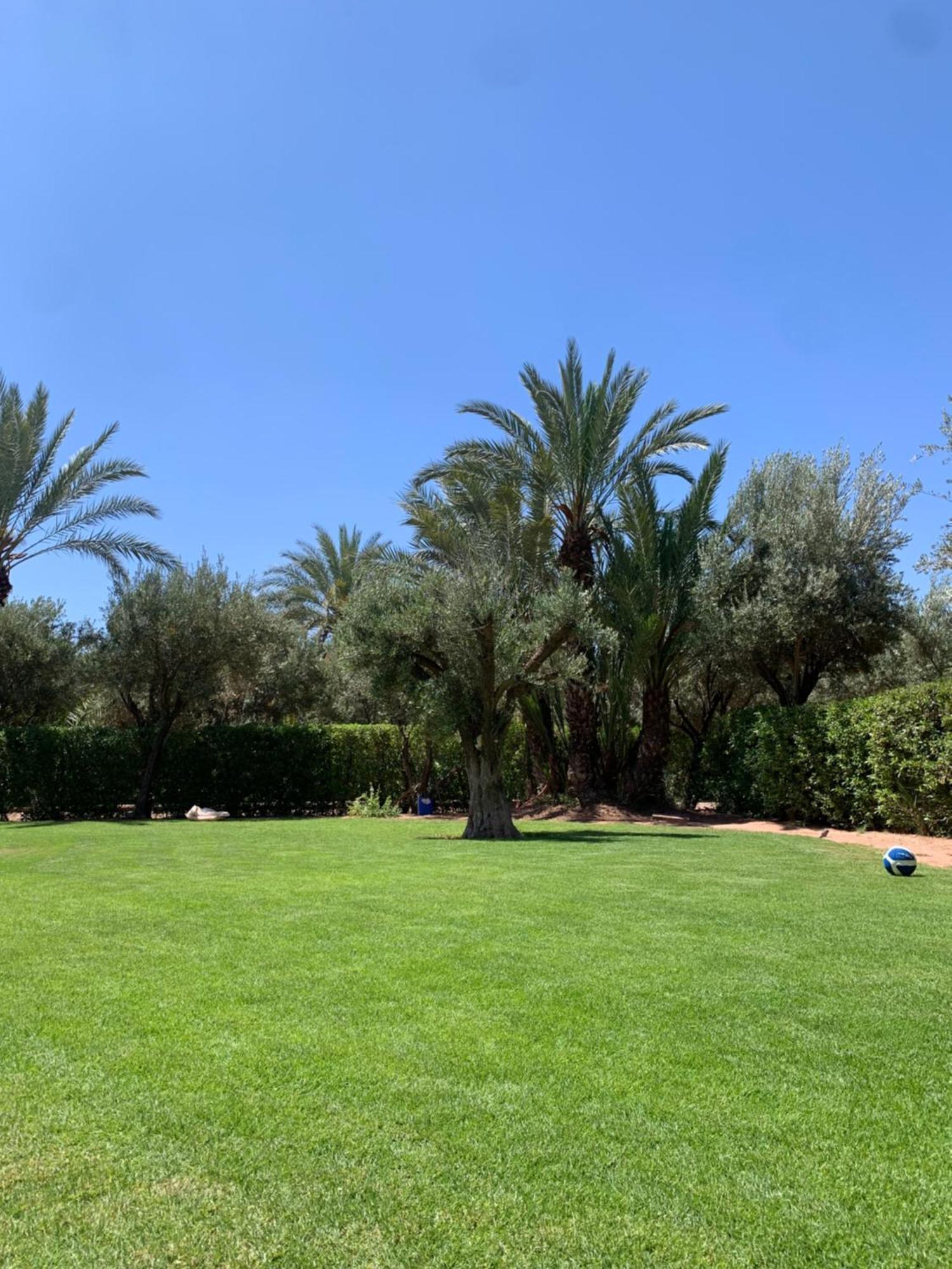 Villa Avec Piscine Privatisee A La Palmeraie 马拉喀什 外观 照片