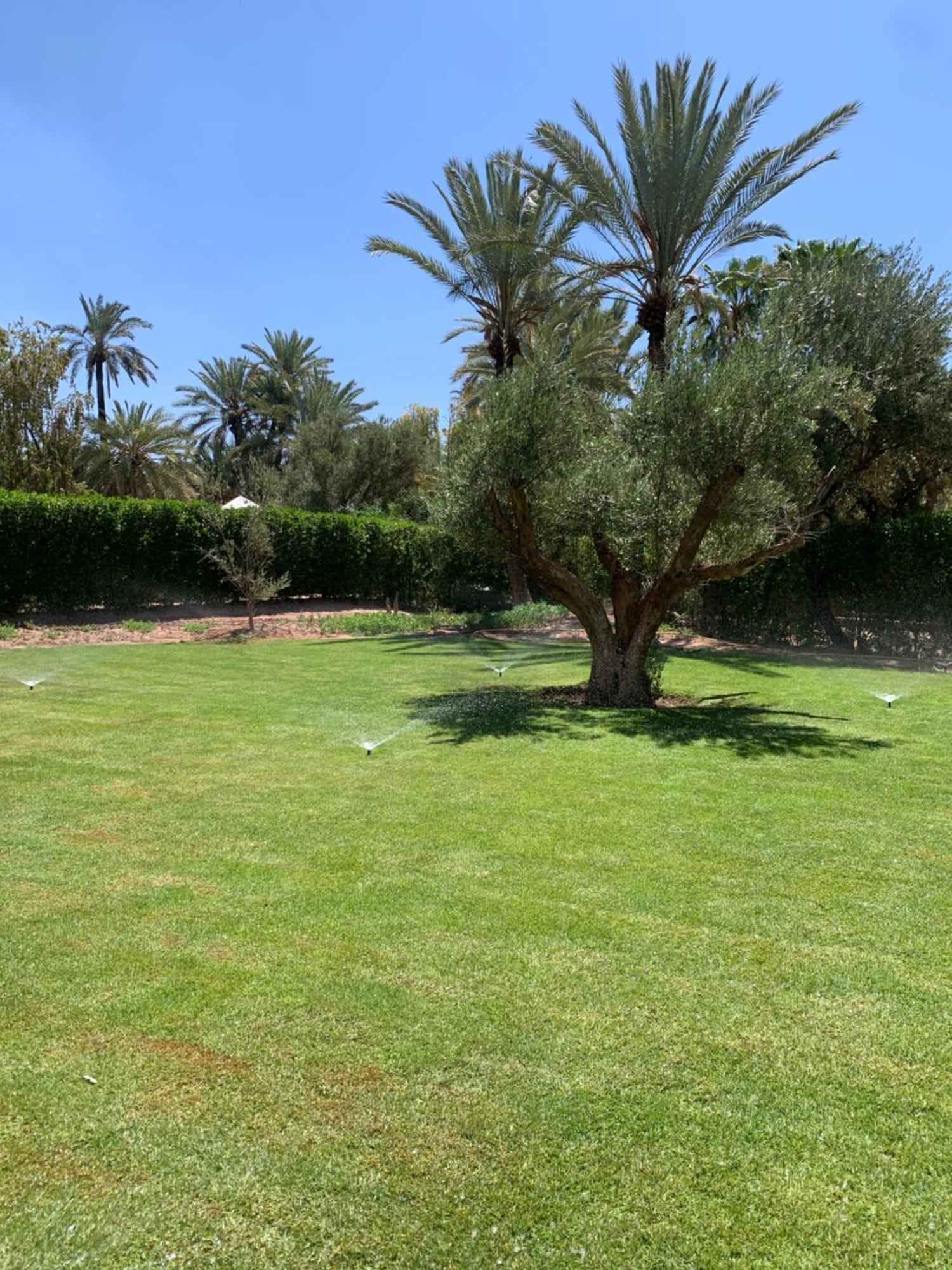 Villa Avec Piscine Privatisee A La Palmeraie 马拉喀什 外观 照片