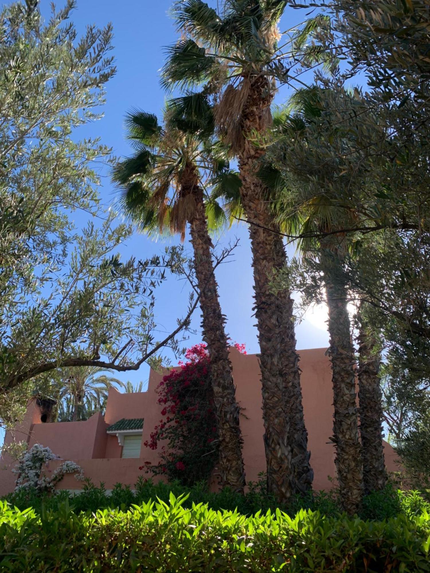 Villa Avec Piscine Privatisee A La Palmeraie 马拉喀什 外观 照片