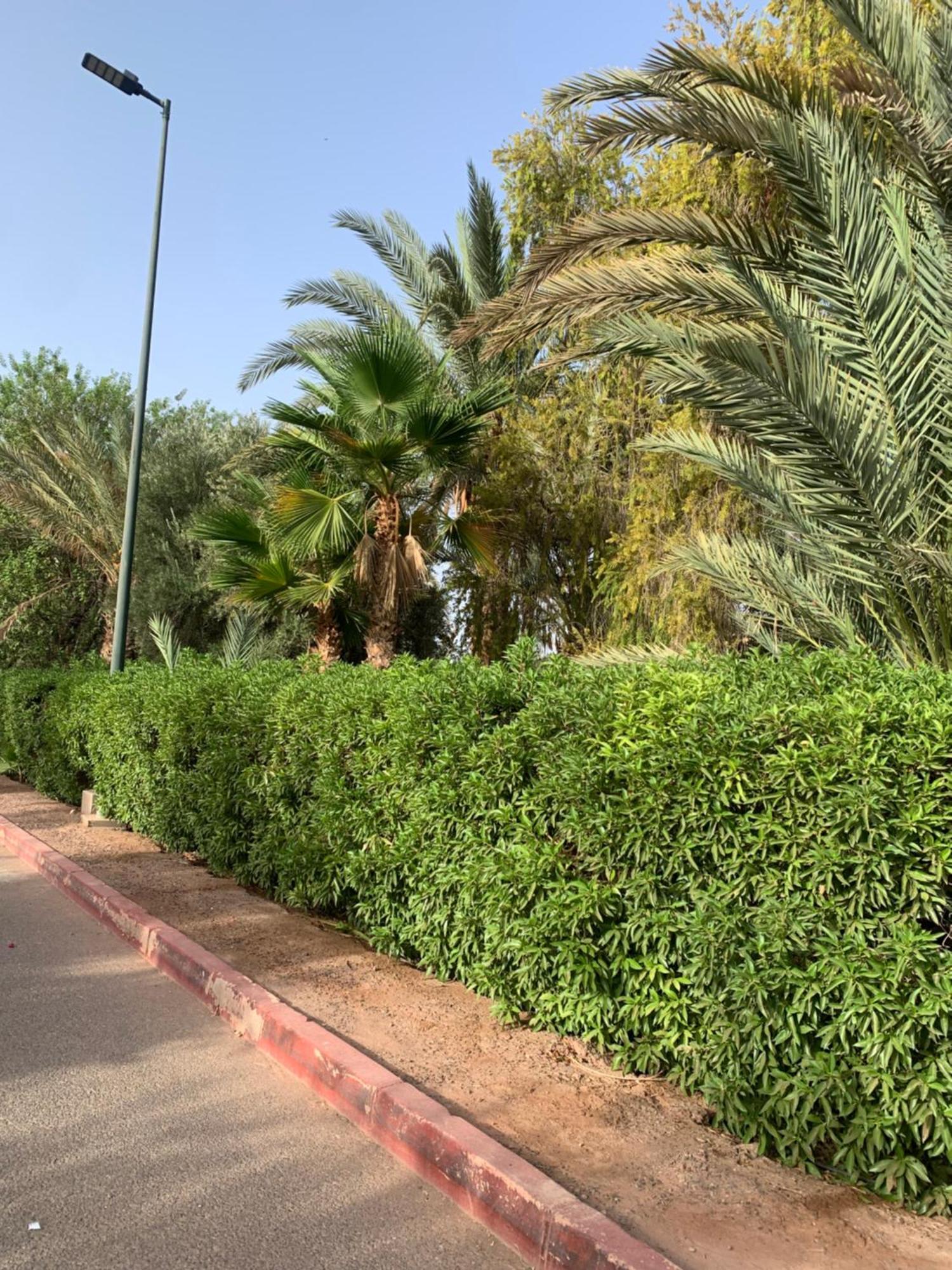 Villa Avec Piscine Privatisee A La Palmeraie 马拉喀什 外观 照片